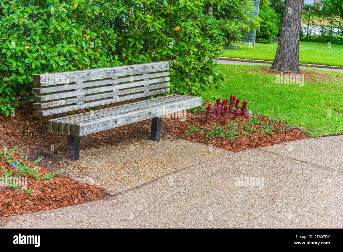 Park bench along garden path at Tyler Municipal Rose Garden in Tyler, Texas. Stock Photo