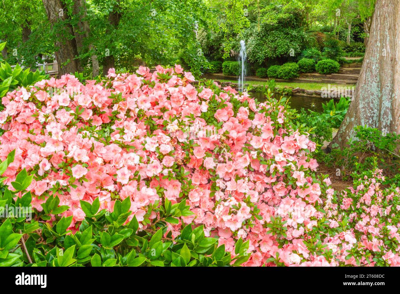 Meditation Garden at at Tyler Municipal Rose Garden in Tyler, Texas. Stock Photo