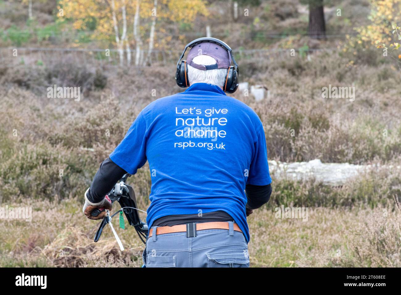 RSPB slogan, Let's give nature a home, on a T-shirt worn by a volunteer worker carrying out habitat management work, Surrey, England, UK Stock Photo