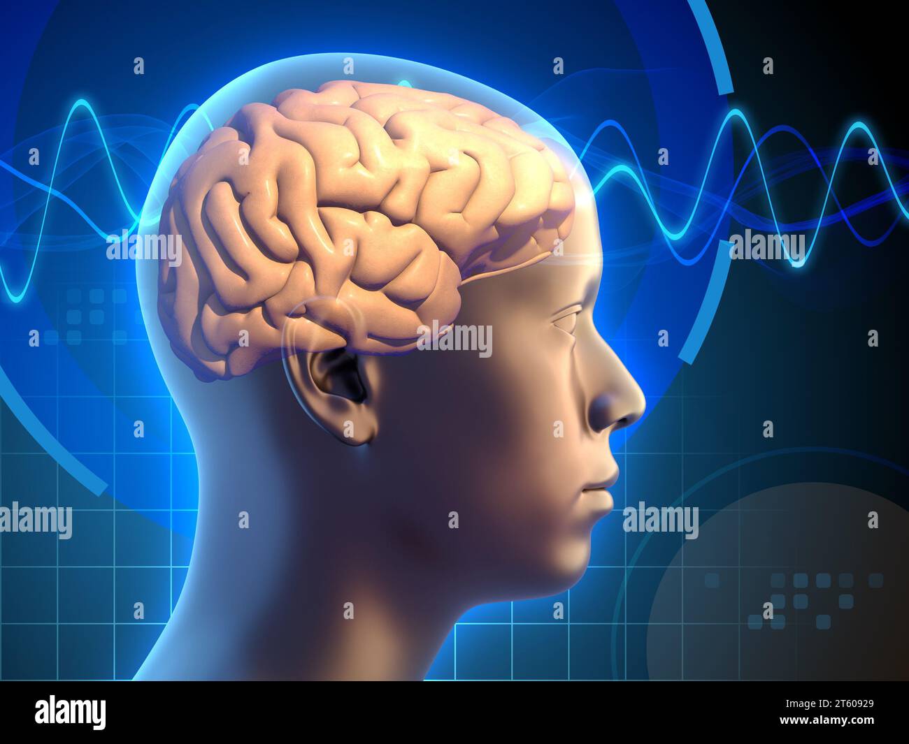 An image of a human brain, crossed by electrical signals, representing thought processes in action. Digital illustration, 3D render. Stock Photo