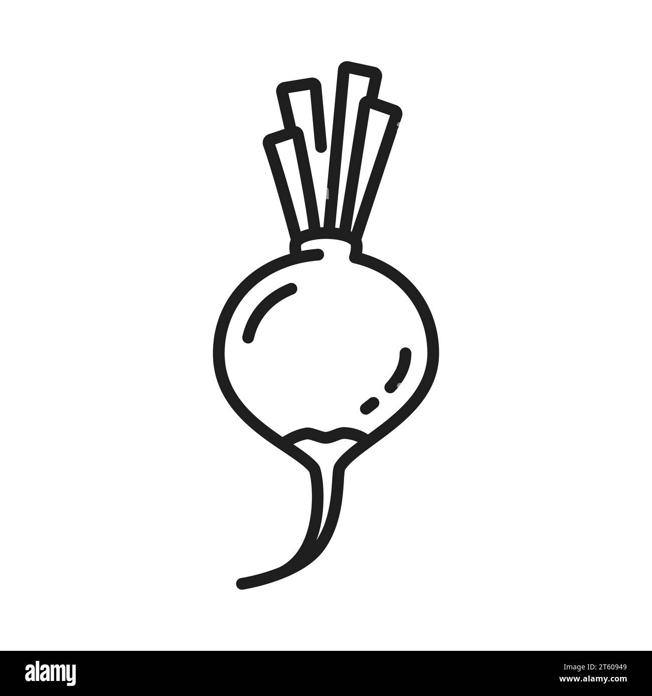 Harvested Beetroot Stock Vector Images Alamy harvested-beetroot-stock-vector-images-alamy