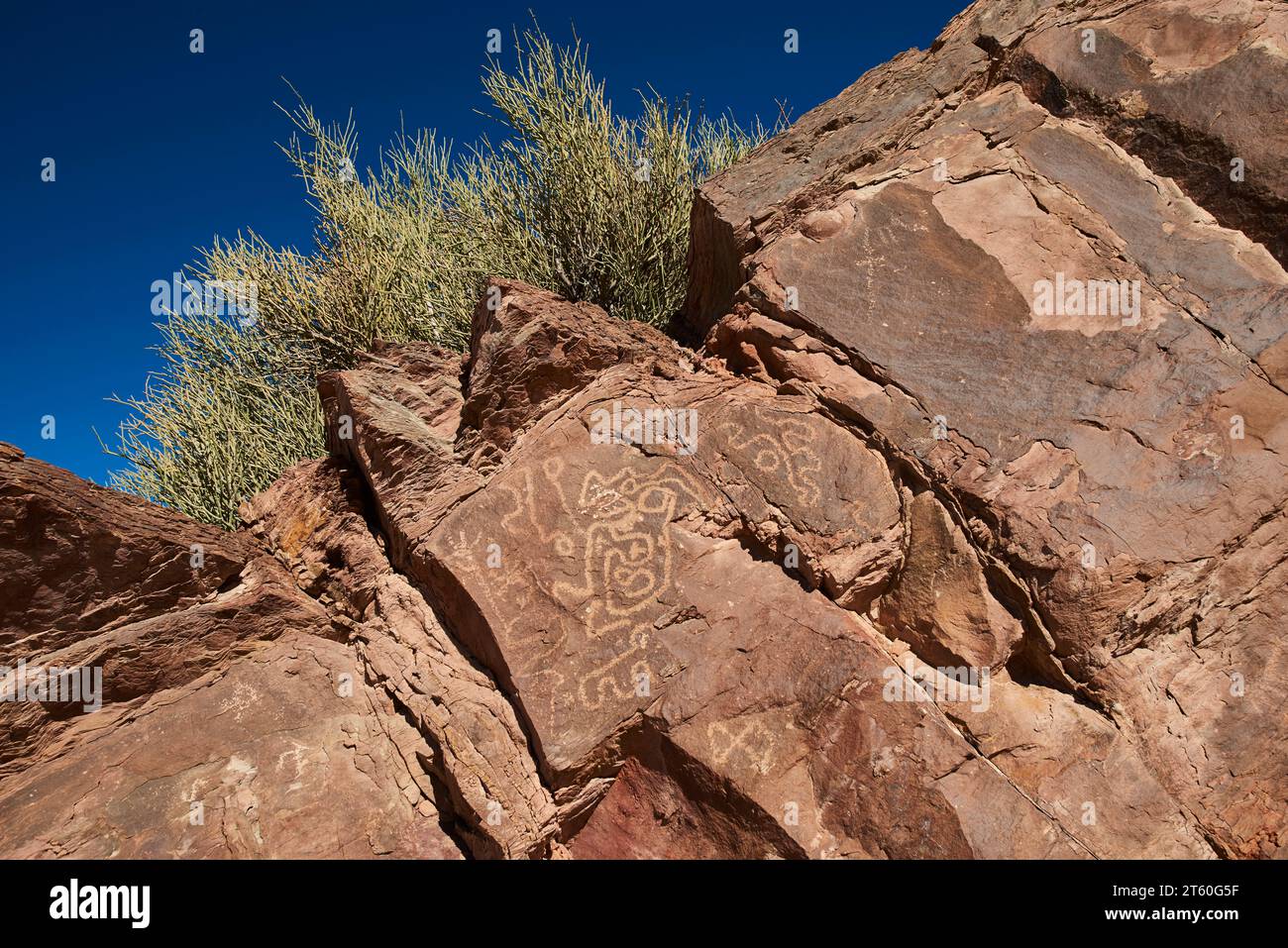 Petroglyphs are rock carvings (rock paintings)made by pecking directly ...
