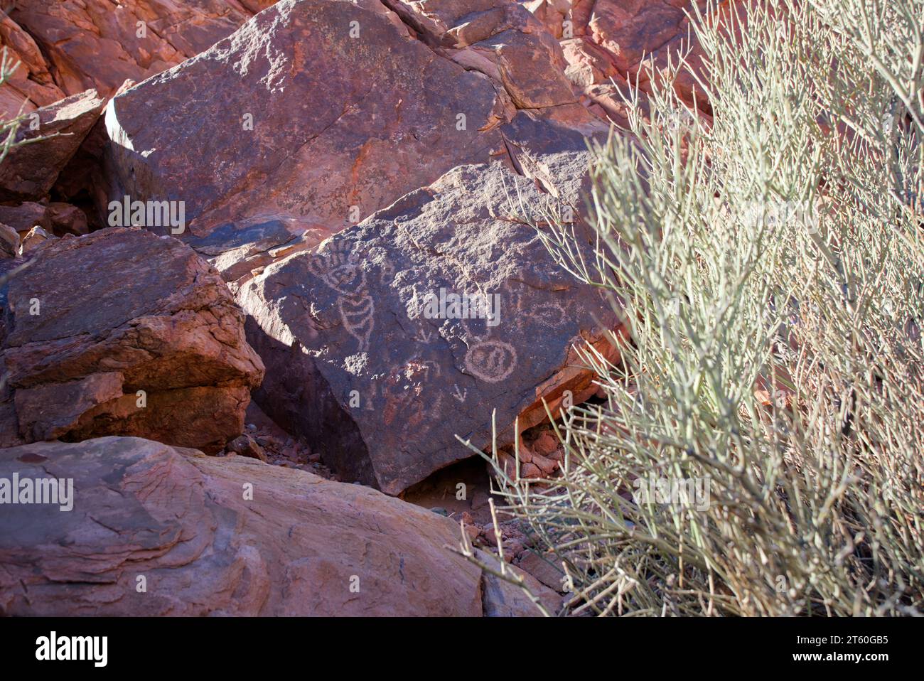 Petroglyphs are rock carvings (rock paintings)made by pecking directly ...