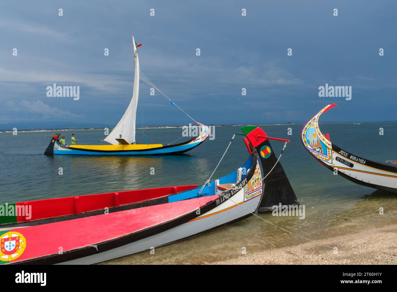 Sao Paio 2023 festival, the regatta of Moliceiros boat on the Ria of Aveiro, Portugal Stock Photo