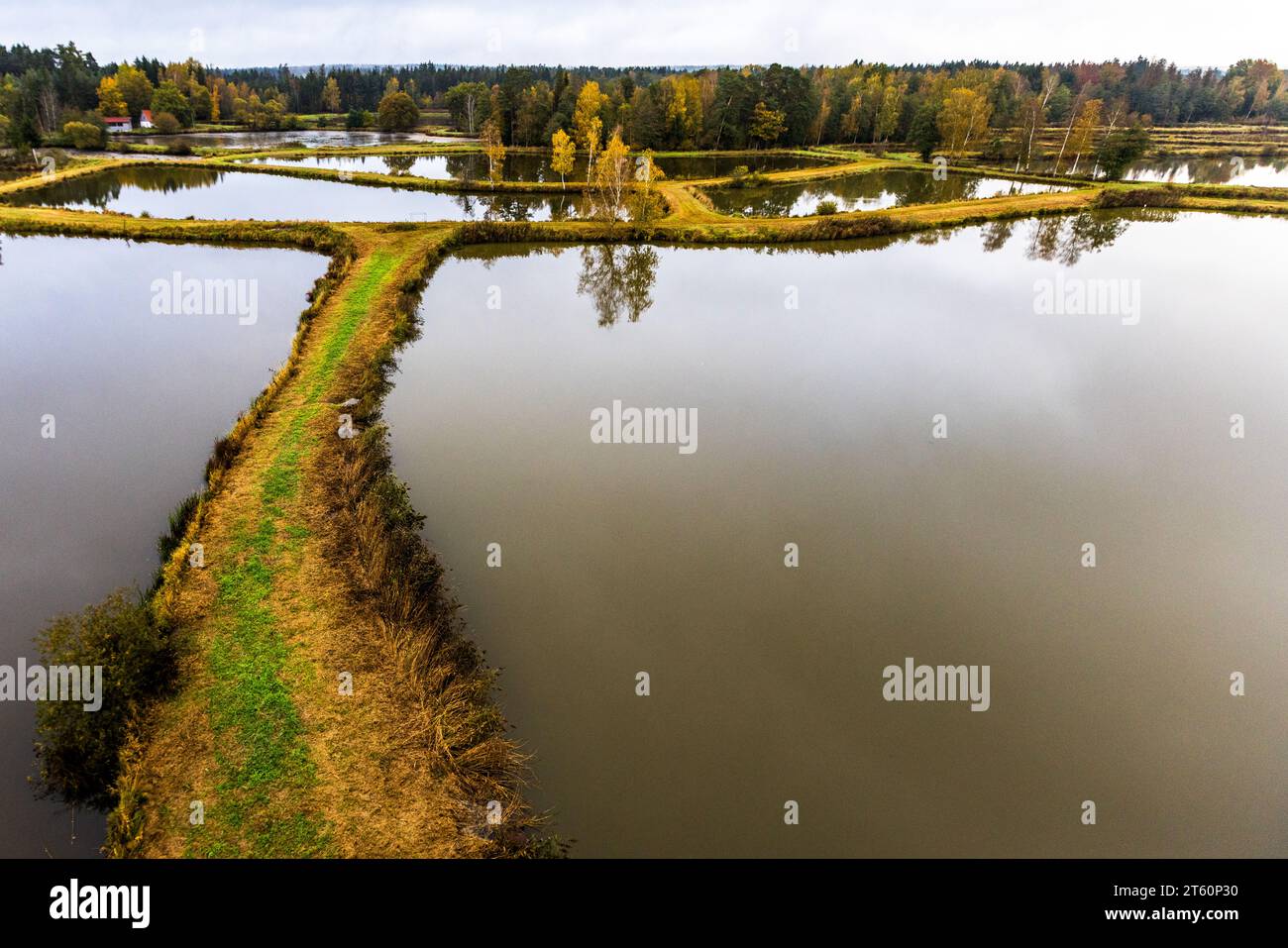 The Tirschenreuther Teichpfanne is a natural depression with clay and kaolin-rich soil.  Water can be dammed up easily. People have been farming fish in this region for centuries. Tirschenreuth, Germany Stock Photo