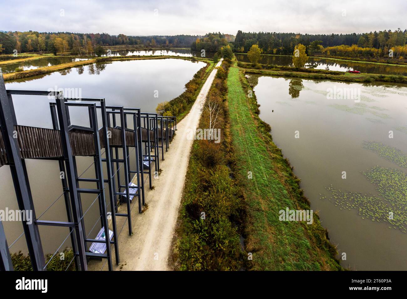 View of the Tirschenreuth pond pan and the Vizinalbahn cycle path from the Himmelsleiter observation tower. Tirschenreuth, Germany Stock Photo