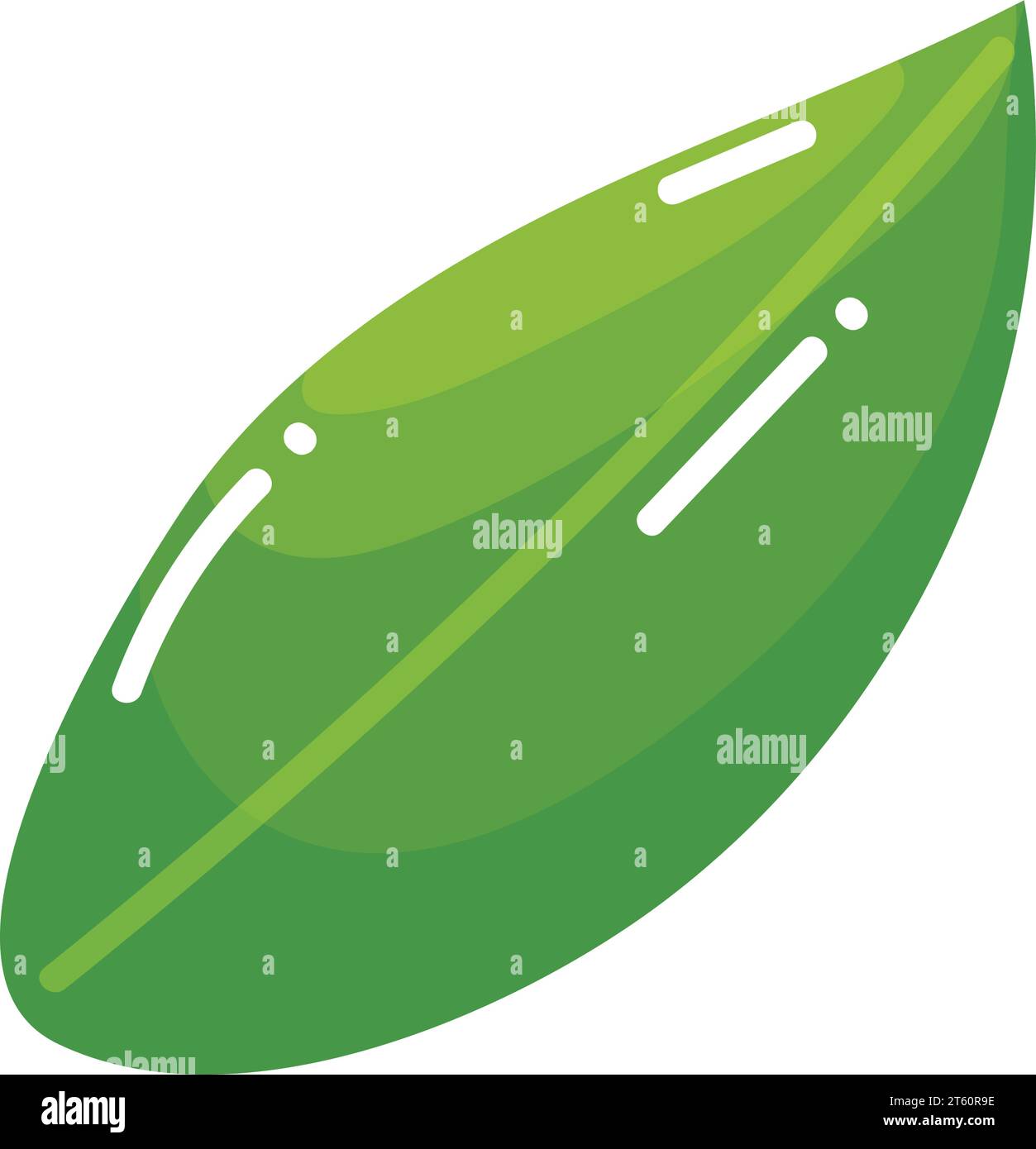 Isolated leaf icon Eco symbol Vector Stock Vector Image & Art - Alamy