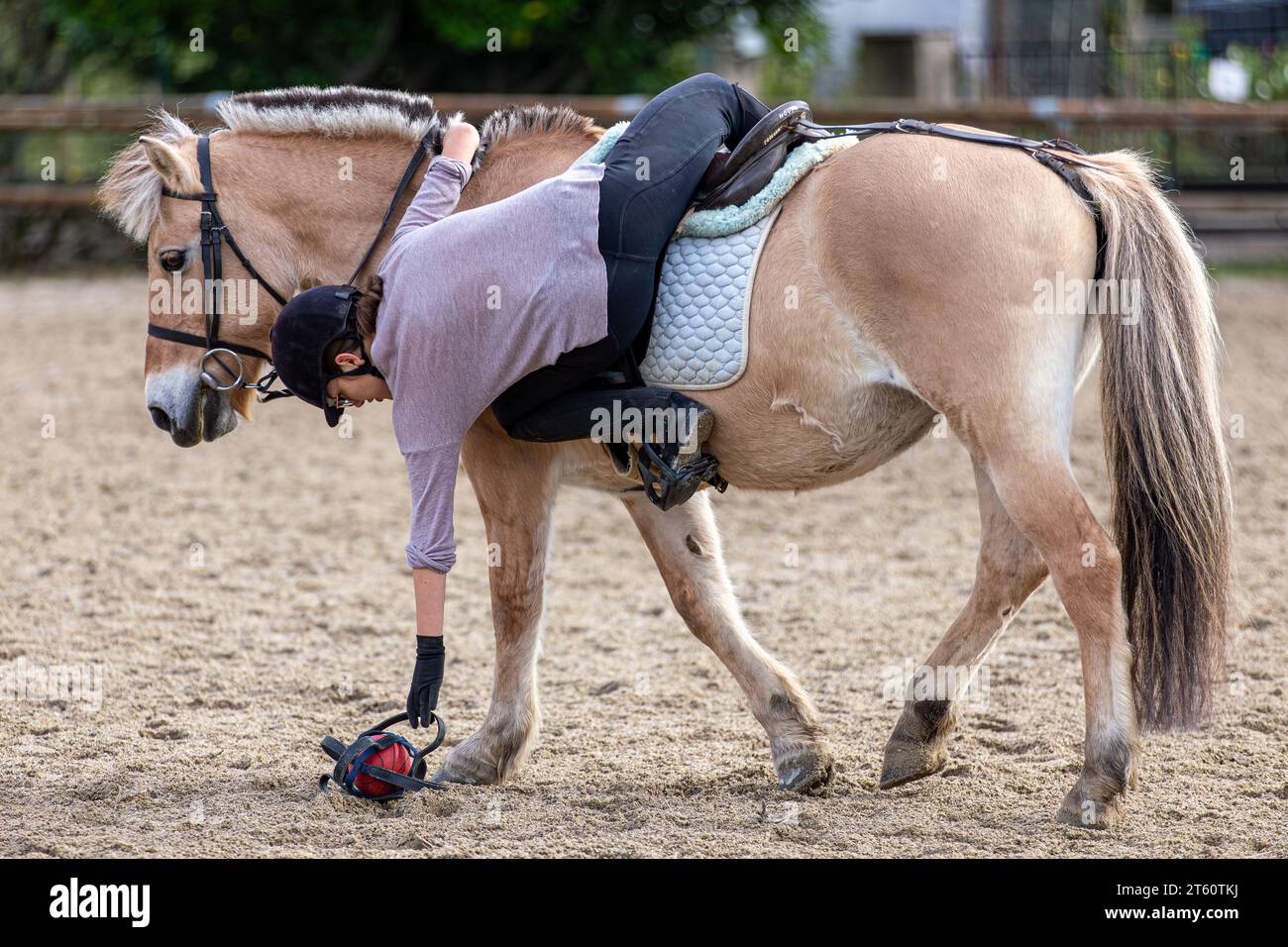 playing with horse vintange animalsex magazine