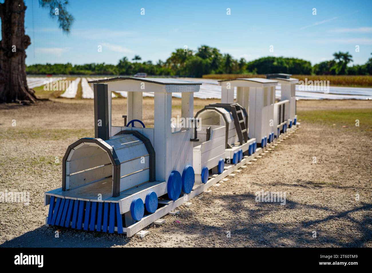 Wooden childrens playground train built from wood Stock Photo Alamy