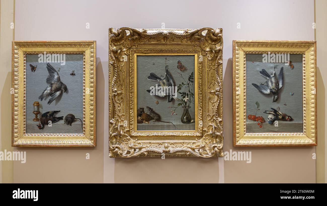 Still life with titmouse, mice, nuts, insects and vase of jasmines paintings of Jean-Baptiste Oudry exposed in Agen Museum, France Stock Photo
