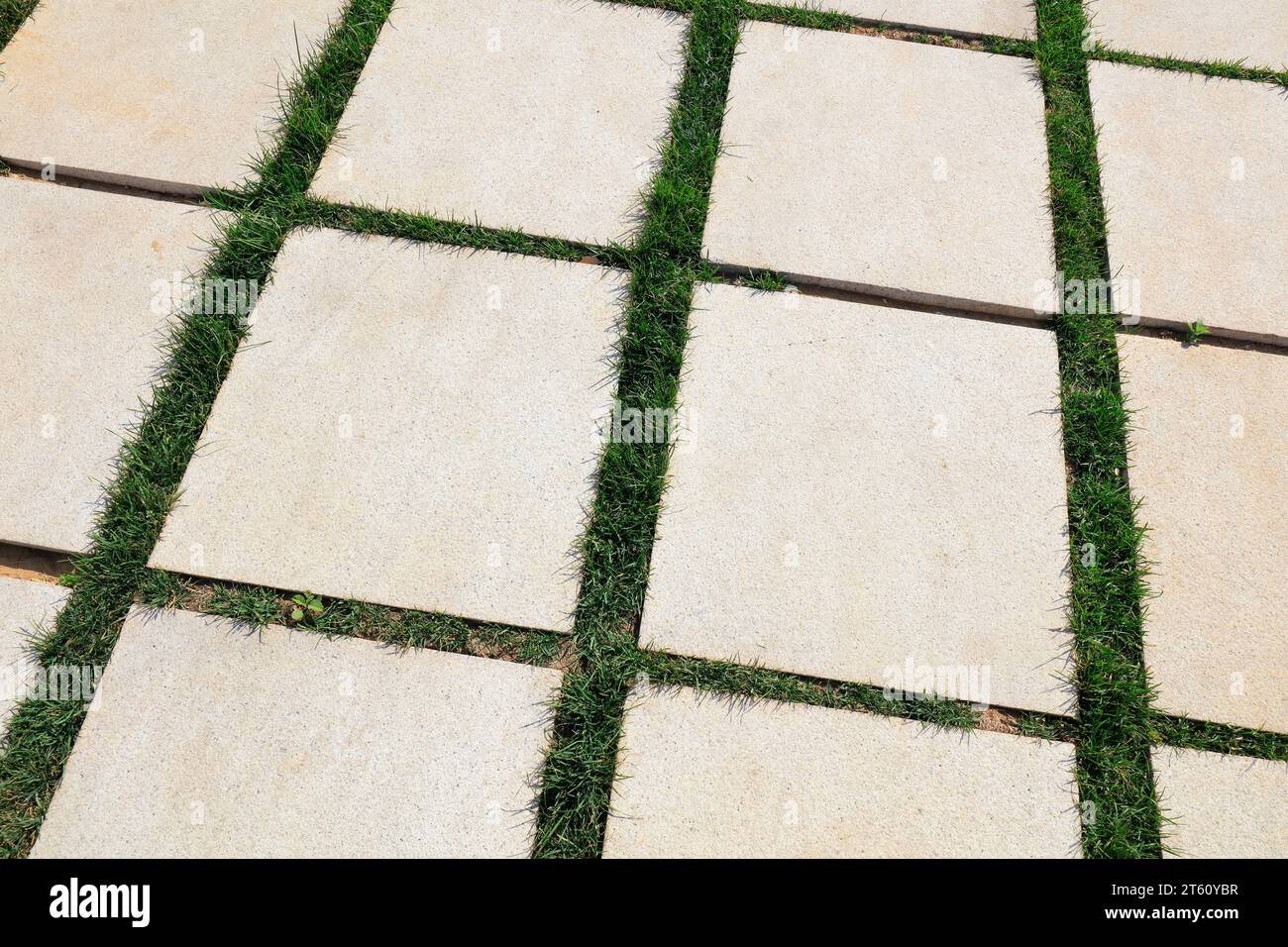 Cement floor tiles and grass Stock Photo Alamy