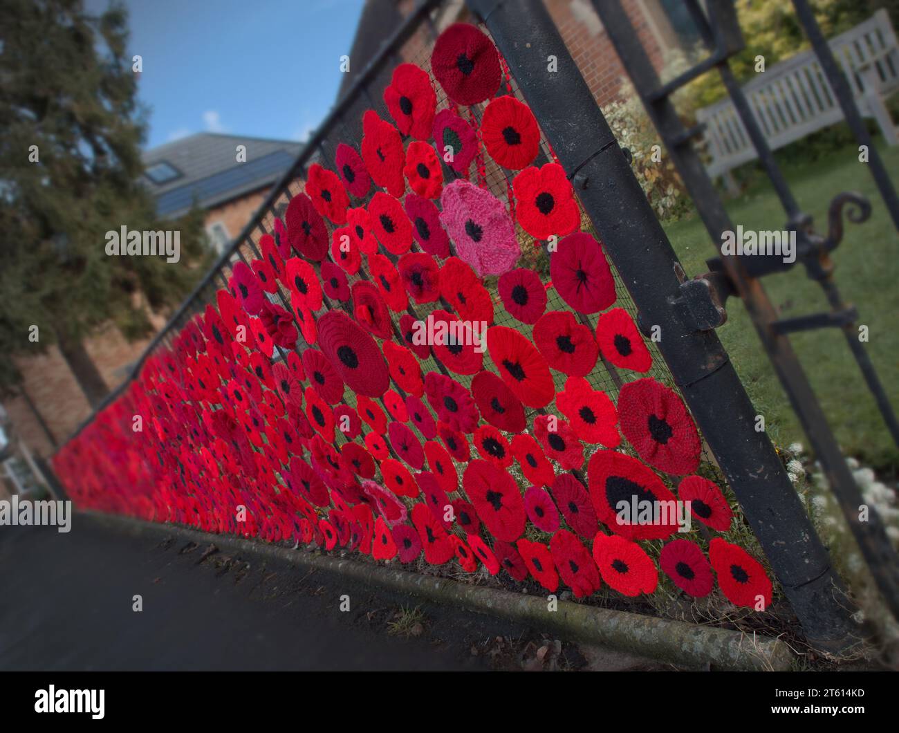 Remembrance Day Poppy Cascade Hi Res Stock Photography And Images Alamy