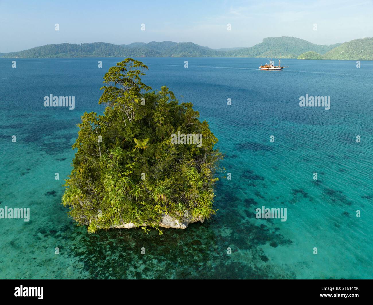 A limestone island, covered by tropical vegetation, is fringed by coral reefs in Alyui Bay, Raja Ampat. This area is known for its high biodiversity. Stock Photo