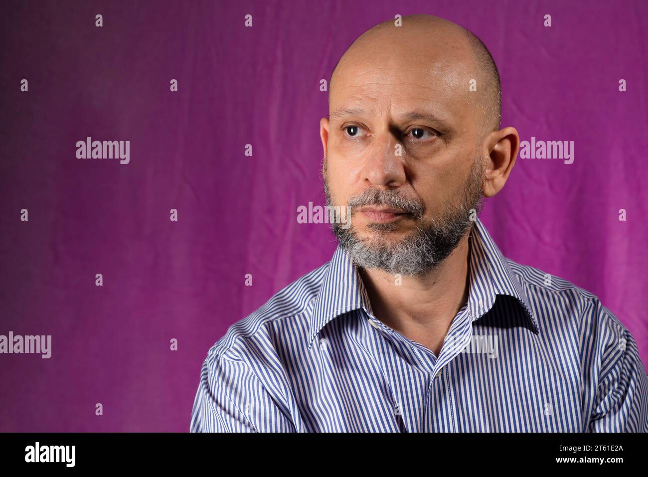 Bald, bearded man looking at camera against pink background. Stock Photo