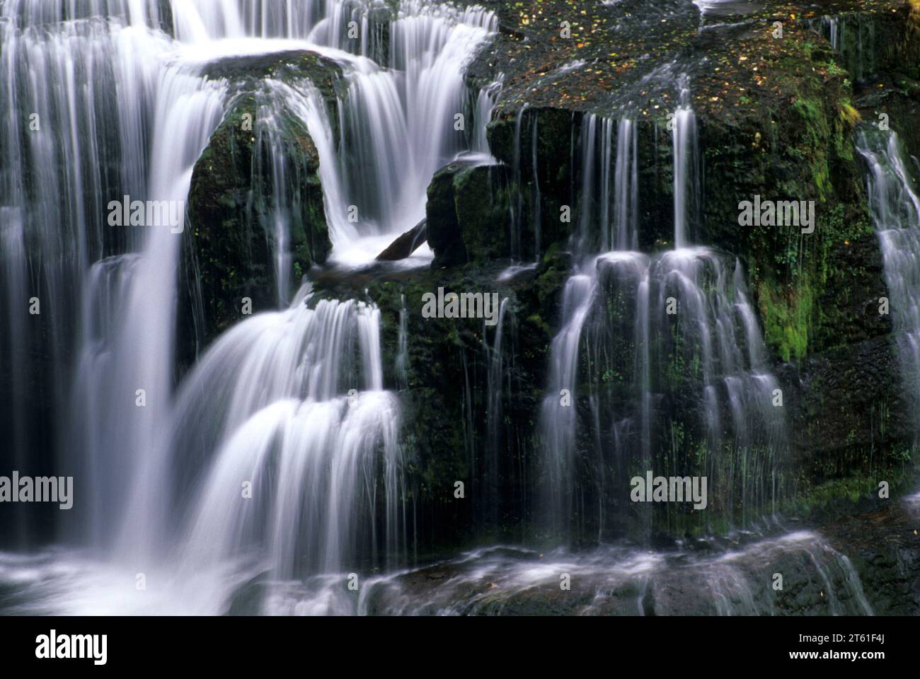 gifford pinchot national forest washington
