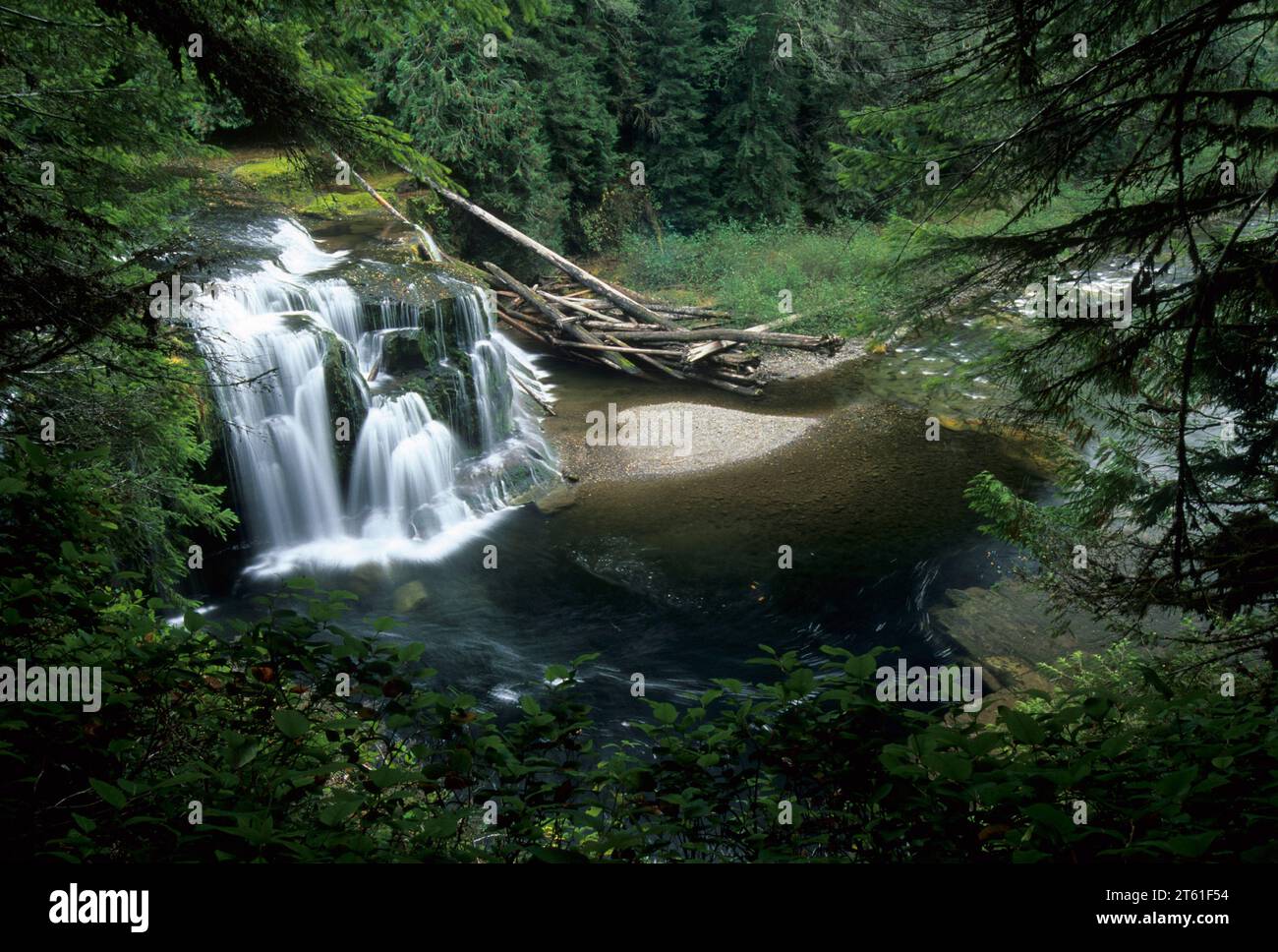 Lower Lewis River Falls, Gifford Pinchot National Forest, Washington ...