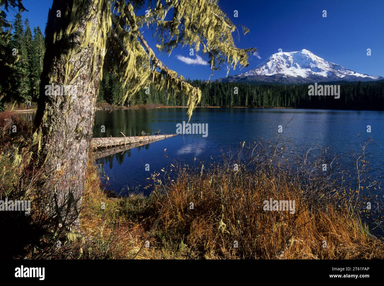 Mt Adams view from Takhlakh Lake, Gifford Pinchot National Forest