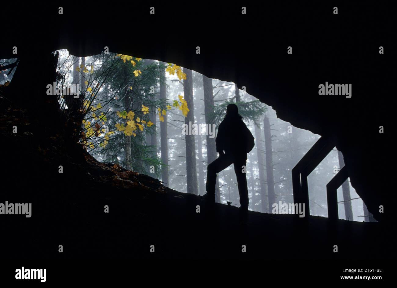 Layser Cave entrance, Gifford Pinchot National Forest, Washington Stock