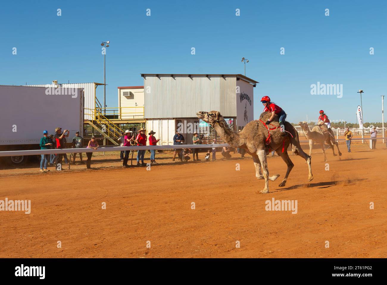 Camel racing at Boulia, a popular fun Outback event in Queensland, QLD, Australia Stock Photo