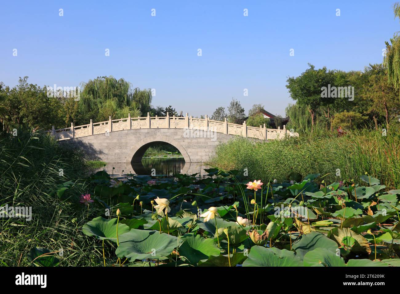 Archaize bridge hi-res stock photography and images - Alamy