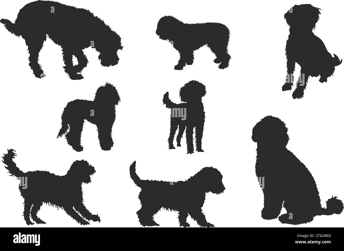 Labradoodle silhouette, Labradoodle dog silhouette, Labradoodle clipart, Labradoodle icon, Dog silhouette Stock Vector