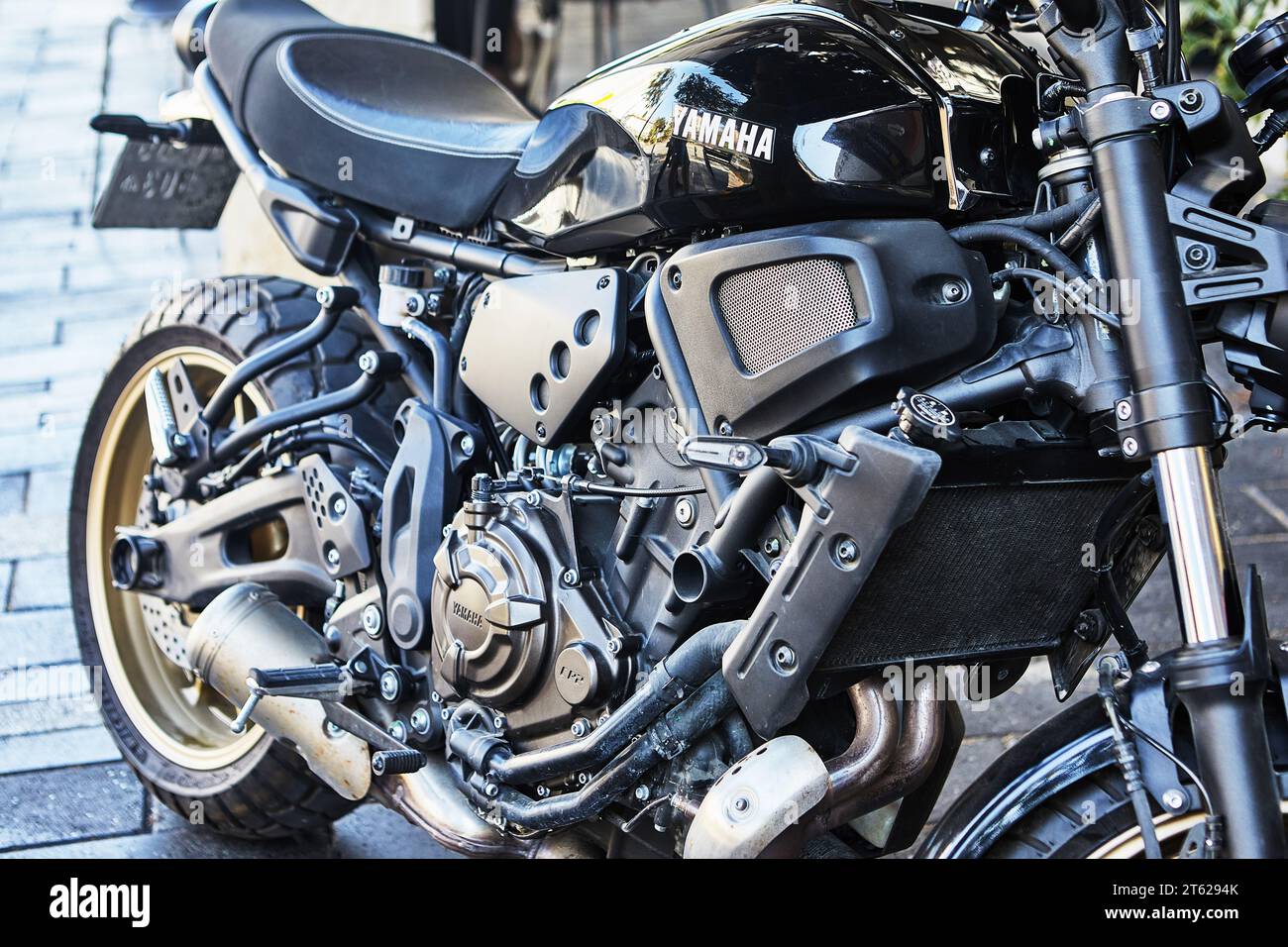Yamaha motorcycle engine close-up, all engine parts are visible. Stock Photo