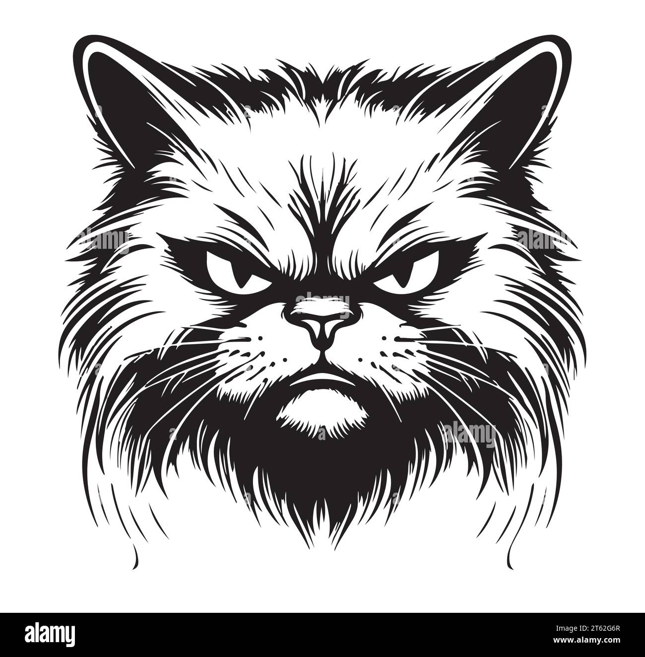 Irritated cat Stock Vector Images - Alamy