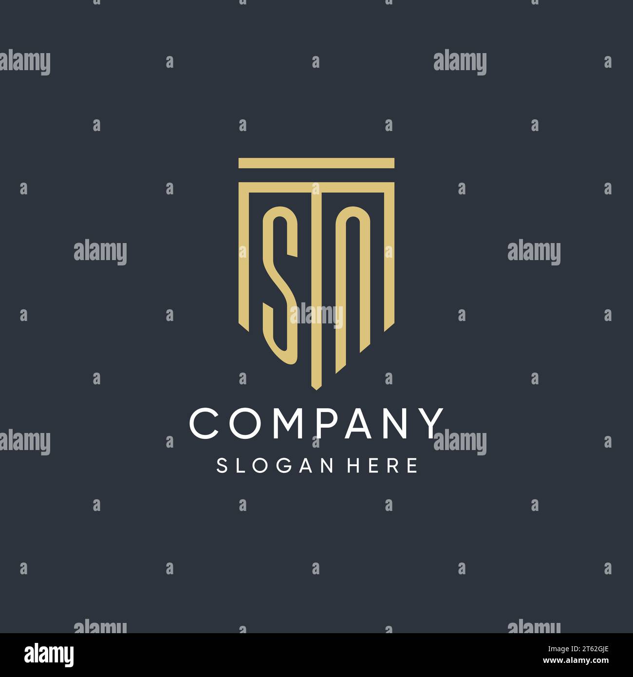 SN monogram with modern and luxury shield shape design vector graphic Stock Vector