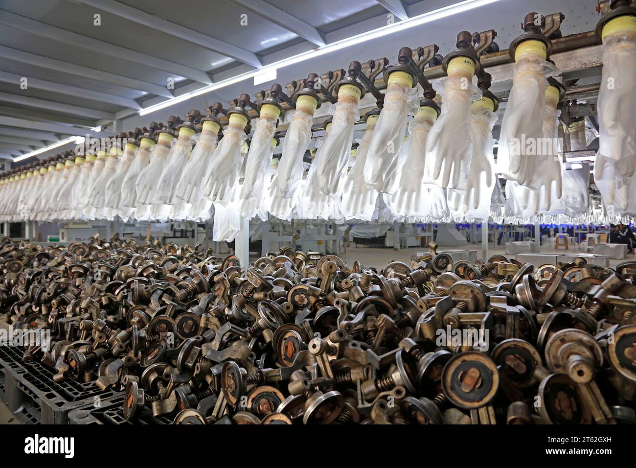 Nitrile medical gloves production line Stock Photo Alamy