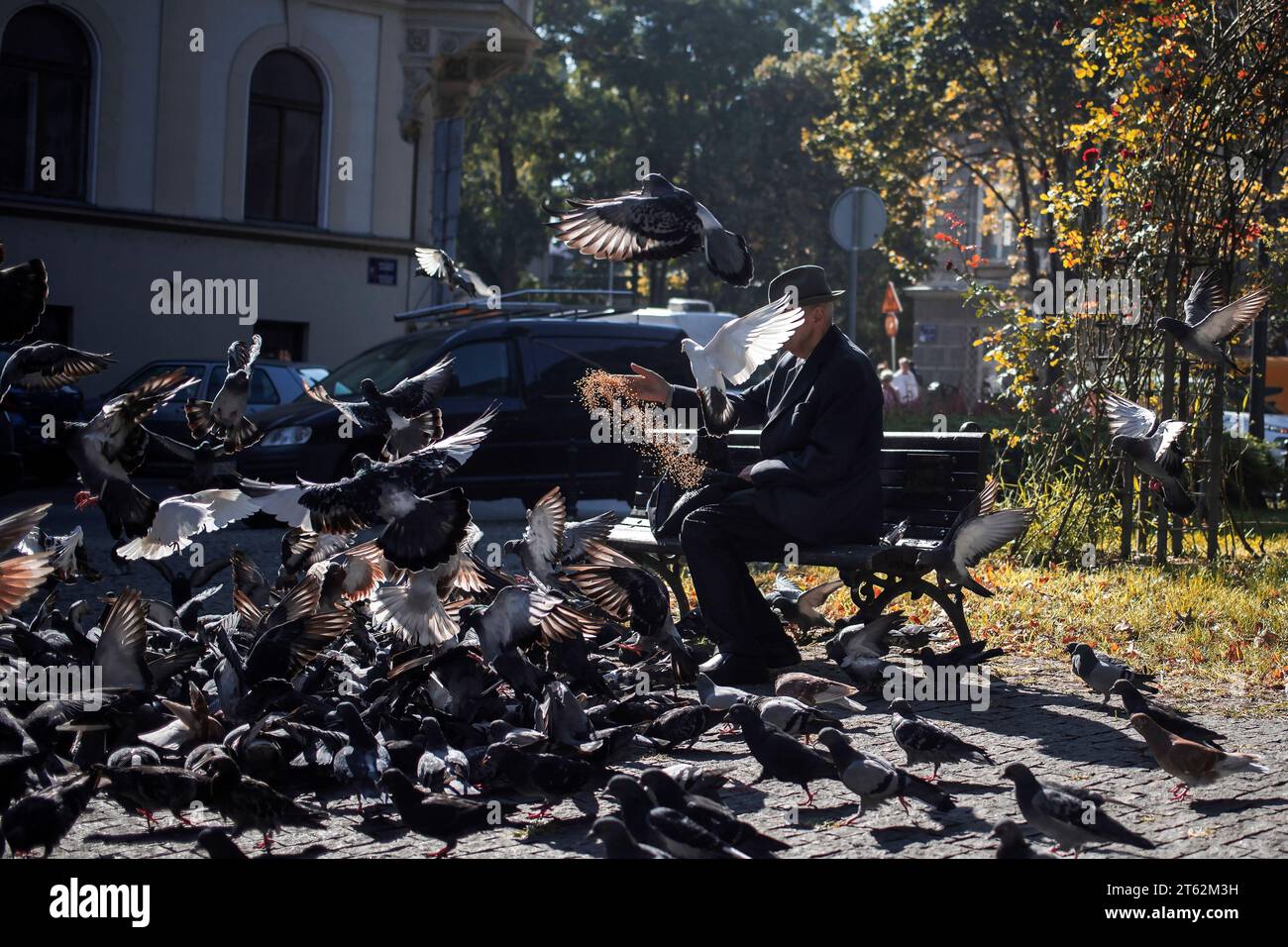 Belgrade, Serbia, Oct 18, 2023: An elderly gentleman feeding pigeons in the park Stock Photo