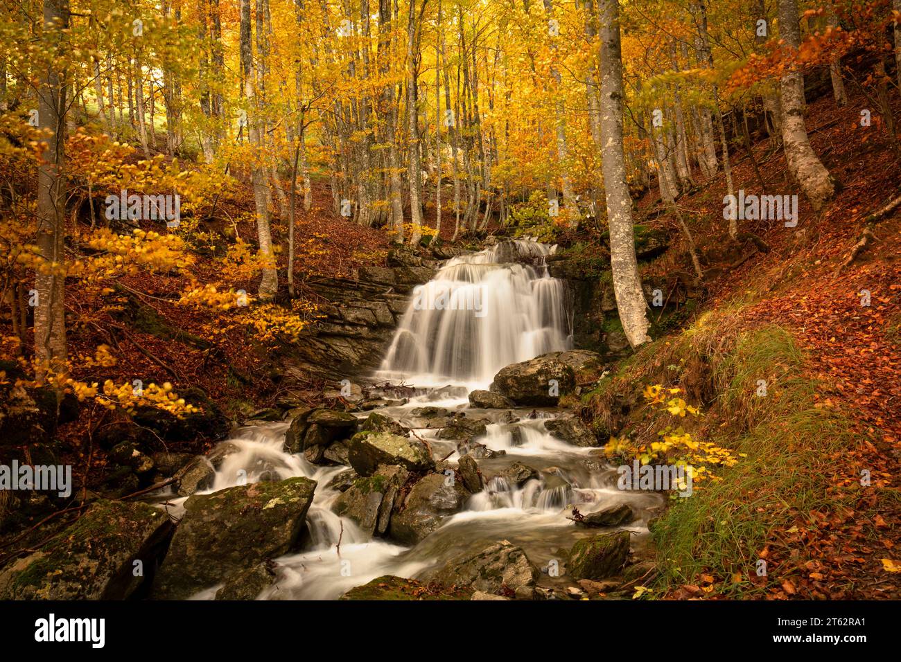 Waterfall in a spectacular golden autumn beech forest on the Gartxot mountain route in Navarra, Spain Stock Photo