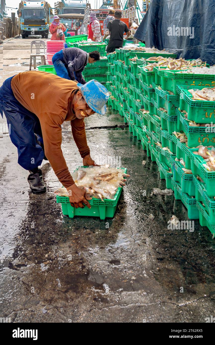 Samaesan fisherman village, Thailand, September 1, 2023: A worker pushes a tray filled with fish on to the wet floor to stack for prospective buyers. Stock Photo