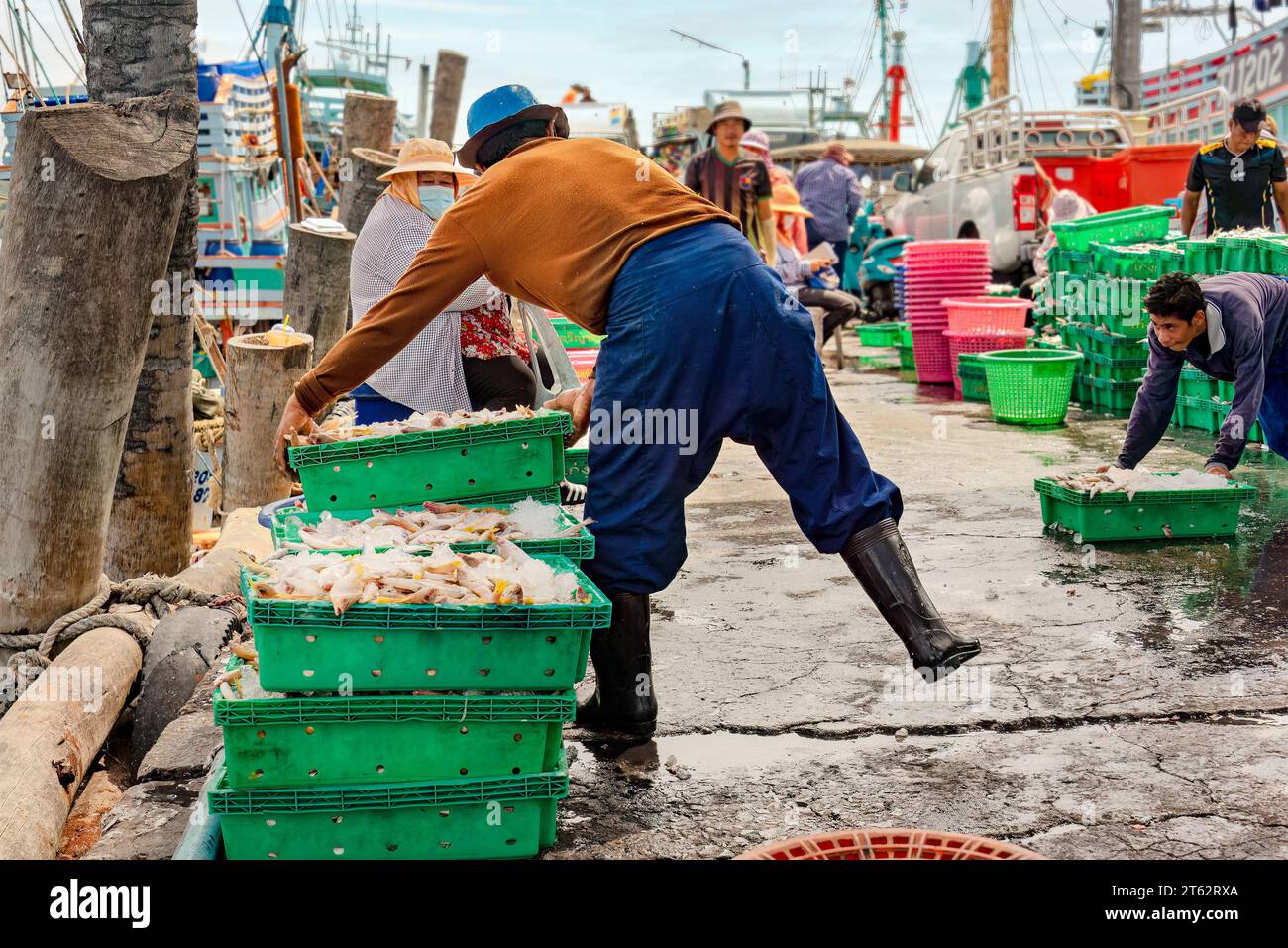 Samaesan fisherman village, Thailand, September 1, 2023: A worker pushes a tray filled with fish on to the wet floor to stack for prospective buyers. Stock Photo