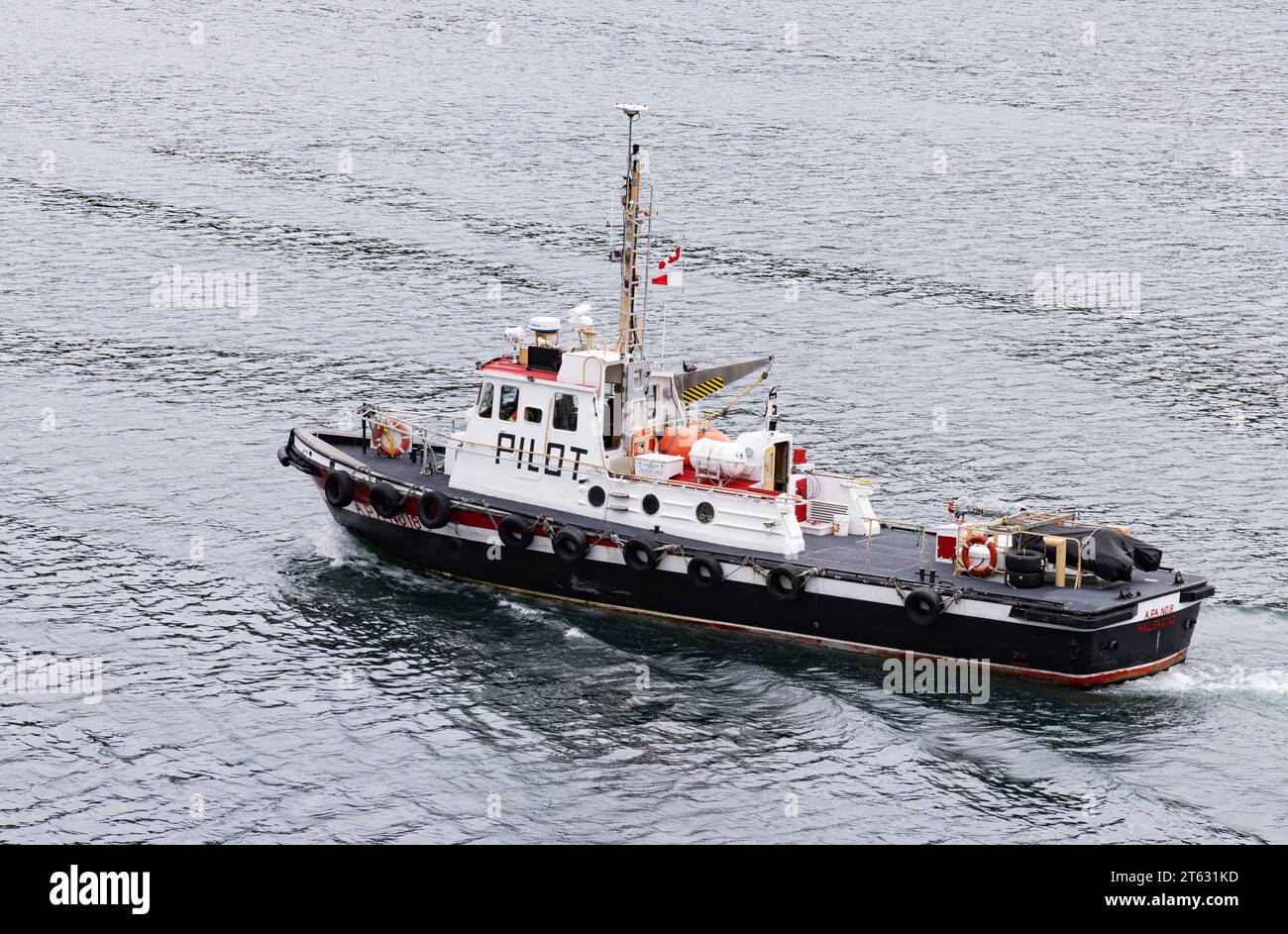 A pilot boat, or pilot ship, used in harbour to transport maritime pilots between land and incoming or outgoing ships; St. Johns, Newfoundland Canada. Stock Photo