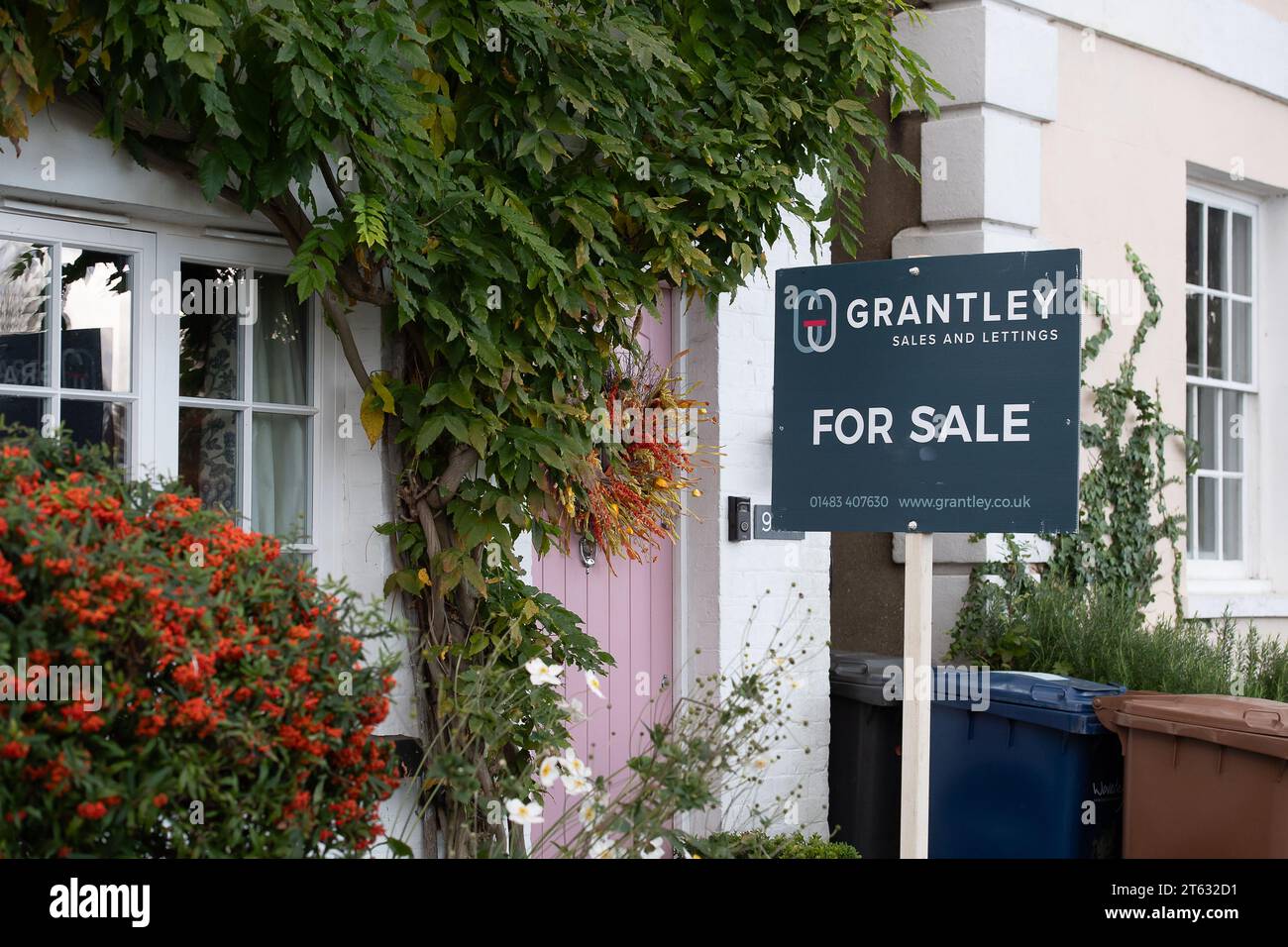 Godalming, Surrey, UK. 7th November, 2023. An Estate Agents for sale