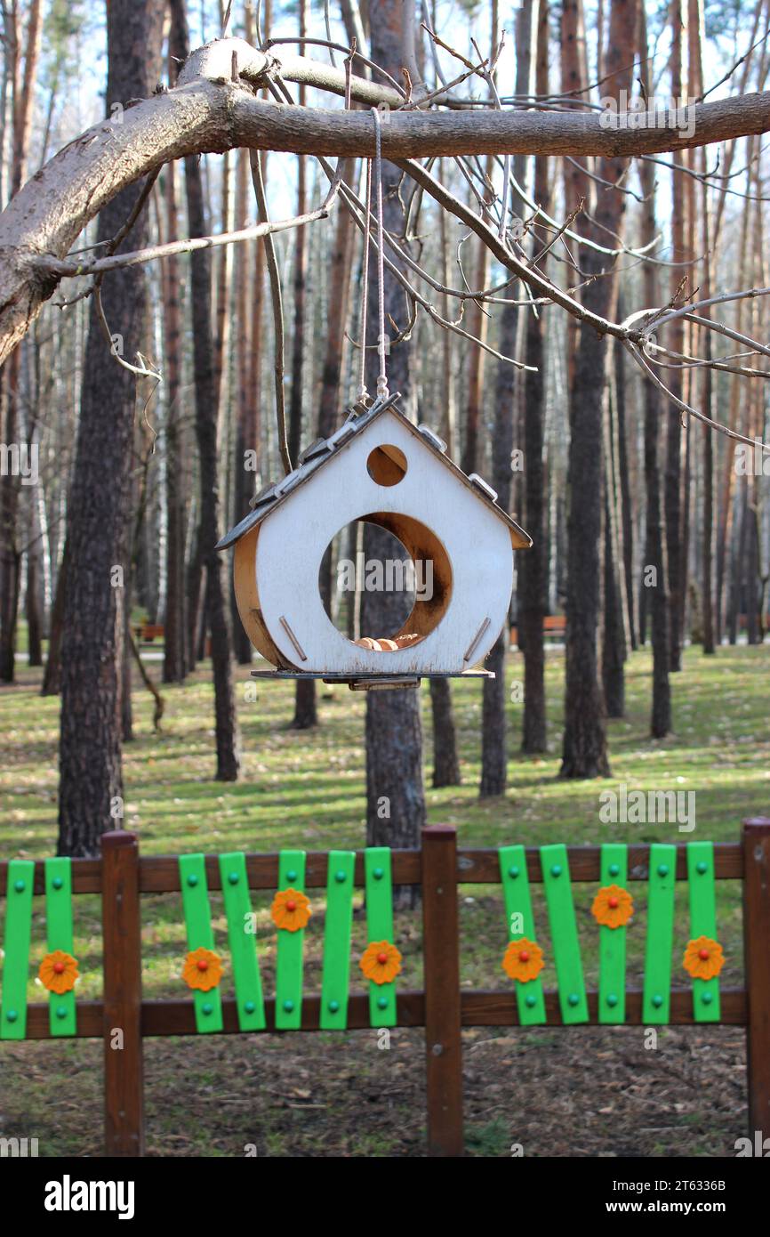 Bird feeder tied with a rope to a tree branch in a city park Stock