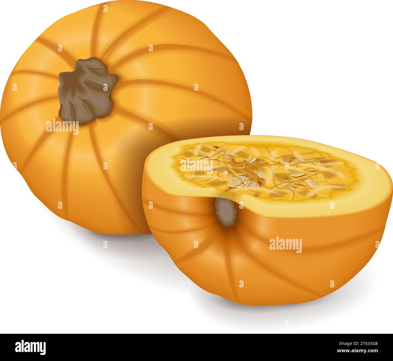 Whole and chopped Sugar Pie Pumpkins. Winter squash. Cucurbita pepo. Fruits and vegetables. Isolated vector illustration. Stock Vector