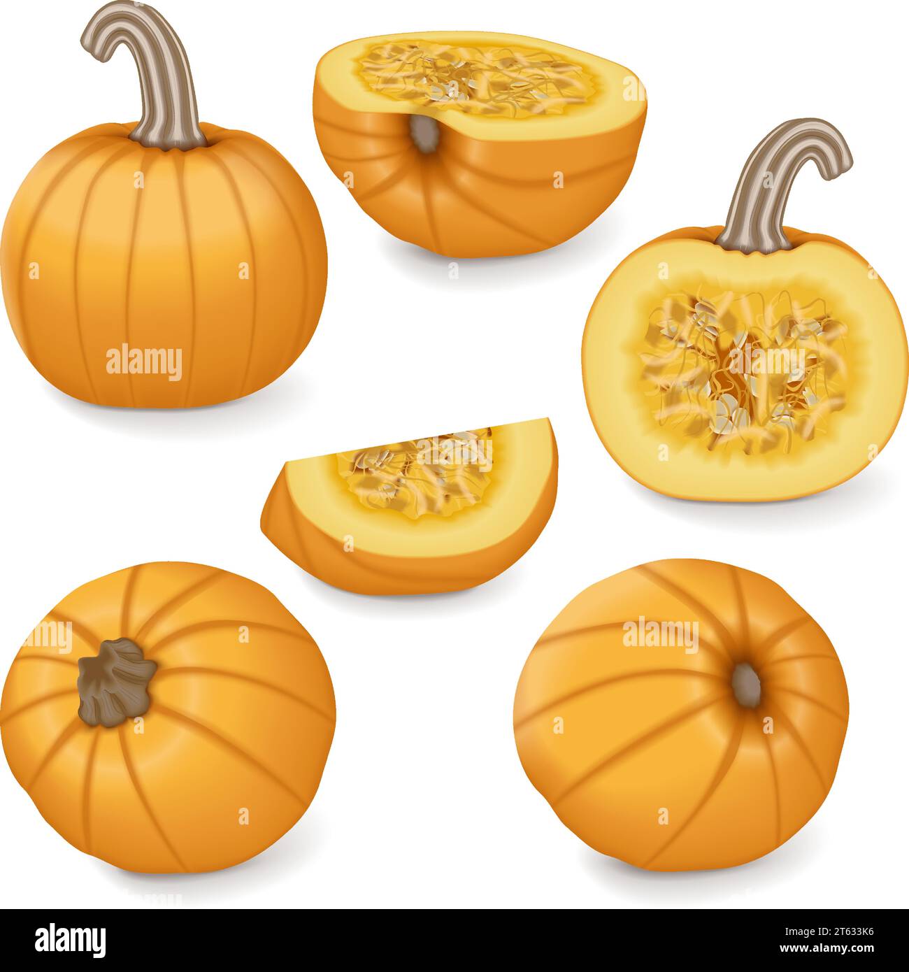 Set of Sugar Pie Pumpkins. Winter squash. Cucurbita pepo. Fruits and vegetables. Isolated vector illustration. Stock Vector