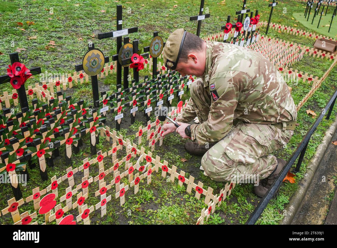 London, UK. 8 November 2023. A member of the Scots Guards plants