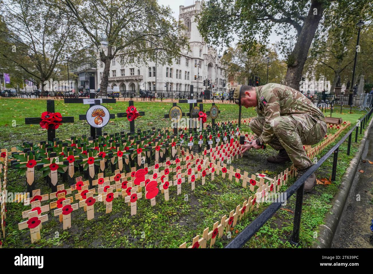 London, UK. 8 November 2023. A member of the Scots Guards plants