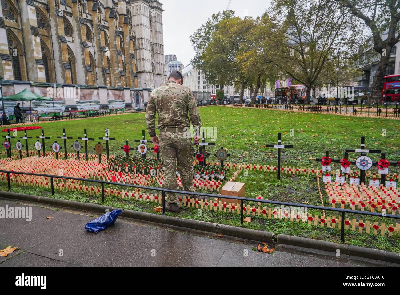 London, UK. 8 November 2023. A member of the Scots Guards plants