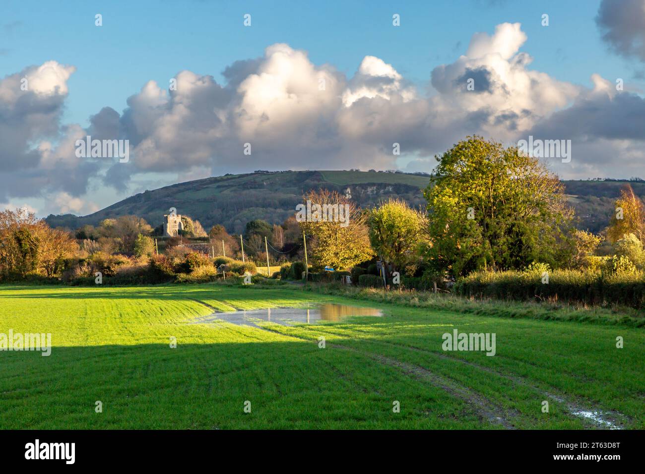 Puddles on Sussex farmland after heavy rain, with Hamsey Church and Malling Down in the distance Stock Photo