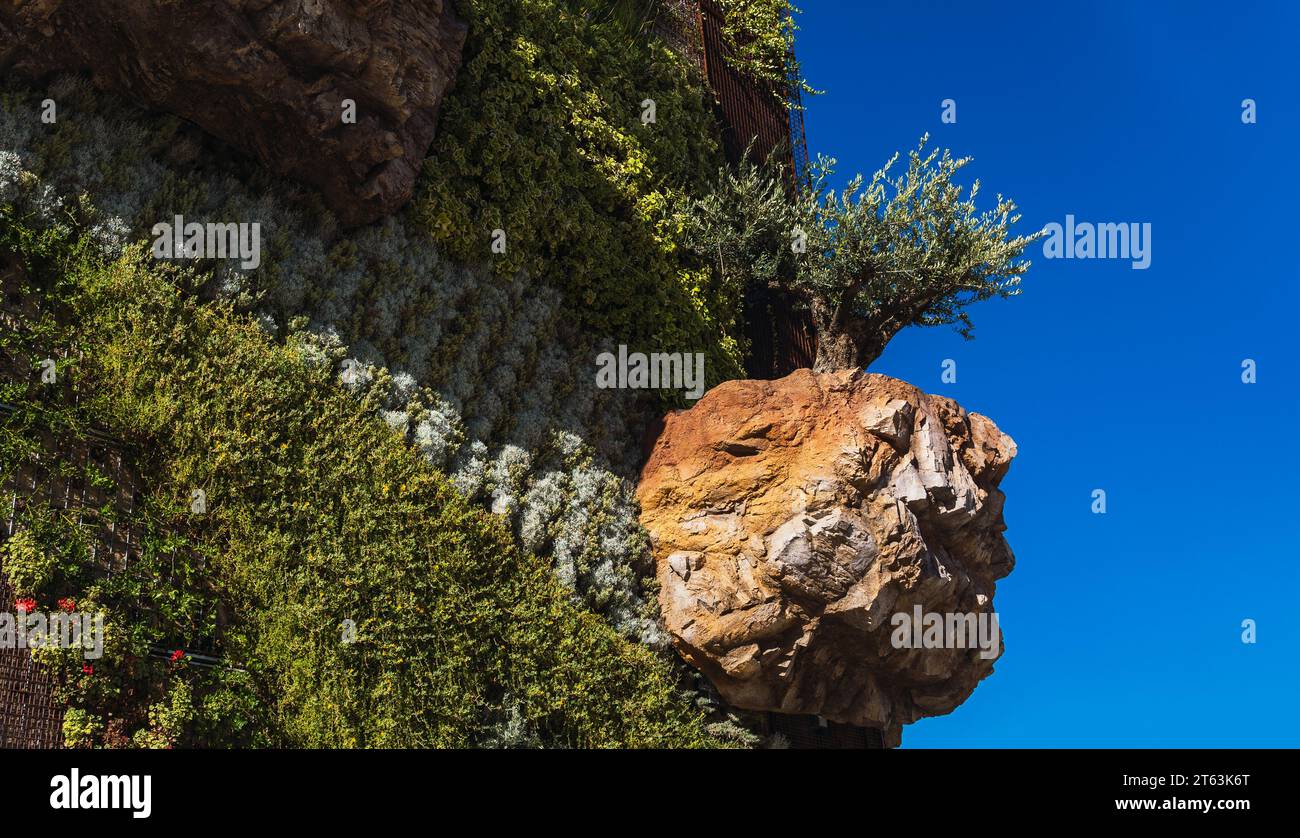 From below of vertical garden with large textured rock formation ...