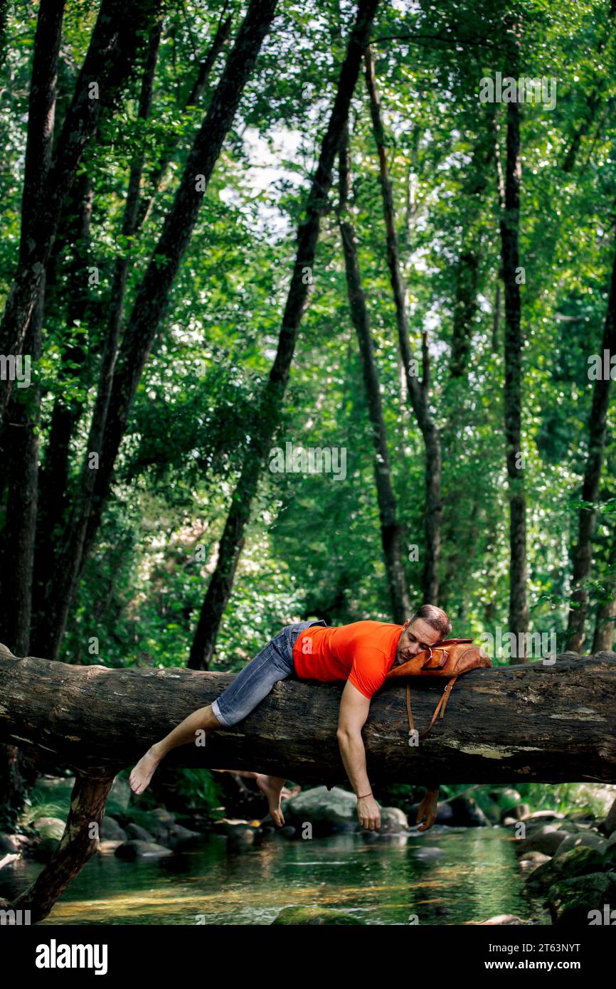Hiker man stretches out on a tree trunk over a quiet creek in nature place. Stock Photo