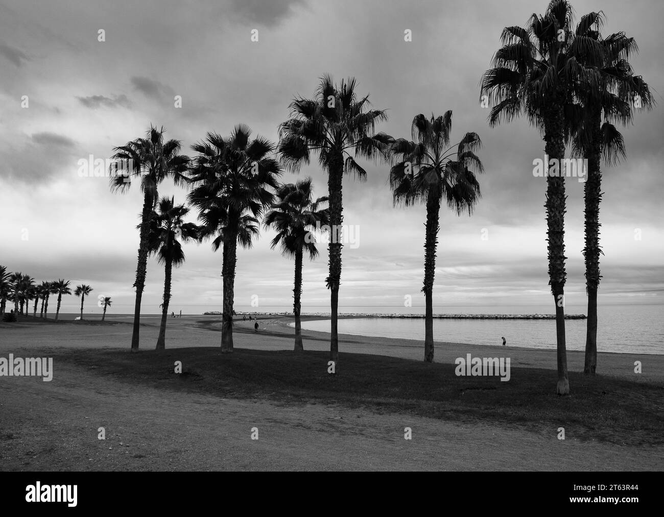 Playa de palm Black and White Stock Photos &amp; Images - Alamy