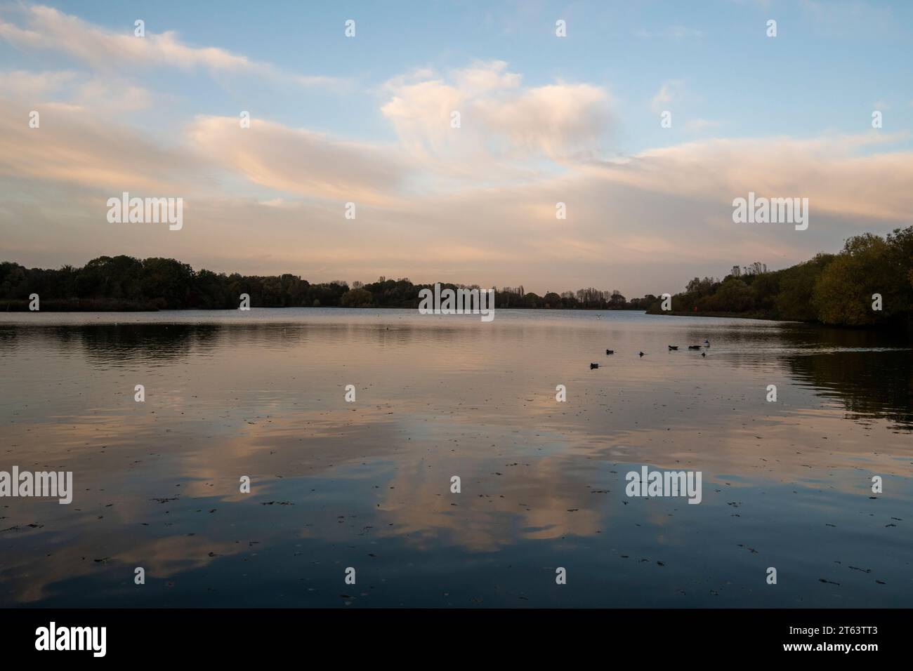 Colwick hi-res stock photography and images - Alamy