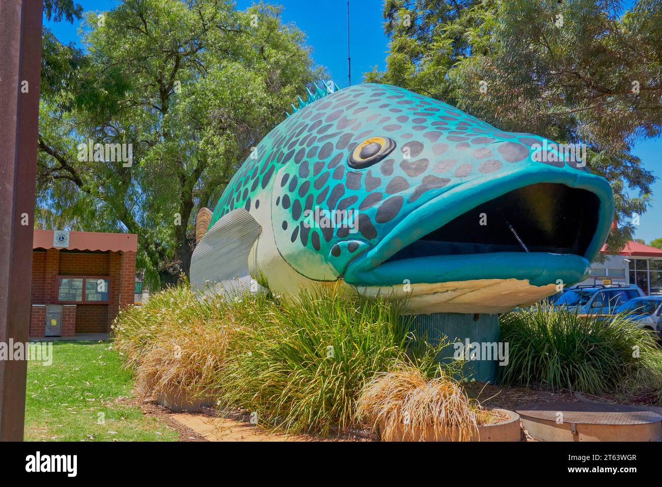 Swan Hill, Victoria, Australia, Arnold the Big Murray Cod, the Iconic freshwater fish Stock Photo