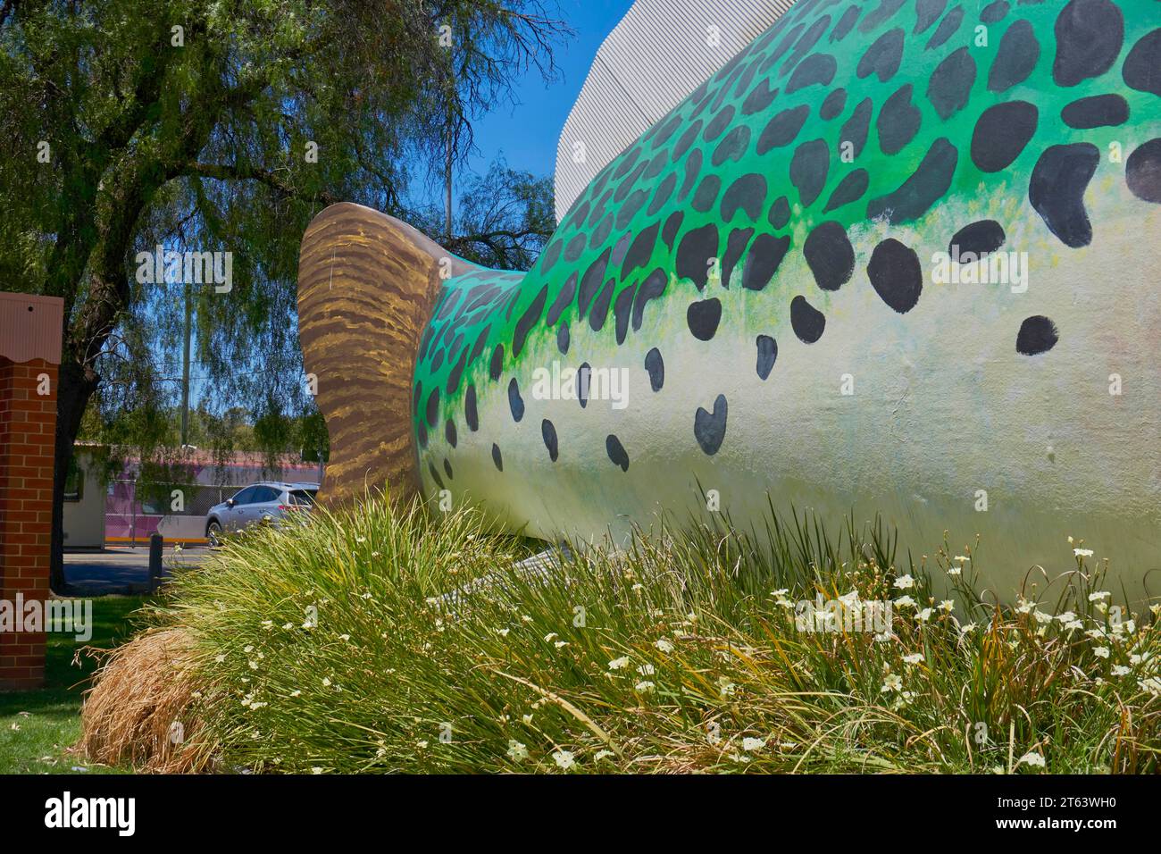 Swan Hill, Victoria, Australia, Arnold the Big Murray Cod, the Iconic freshwater fish Stock Photo