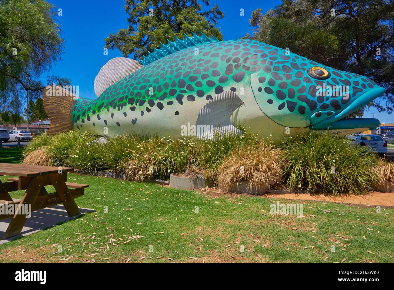 Swan Hill, Victoria, Australia, Arnold the Big Murray Cod, the Iconic freshwater fish Stock Photo