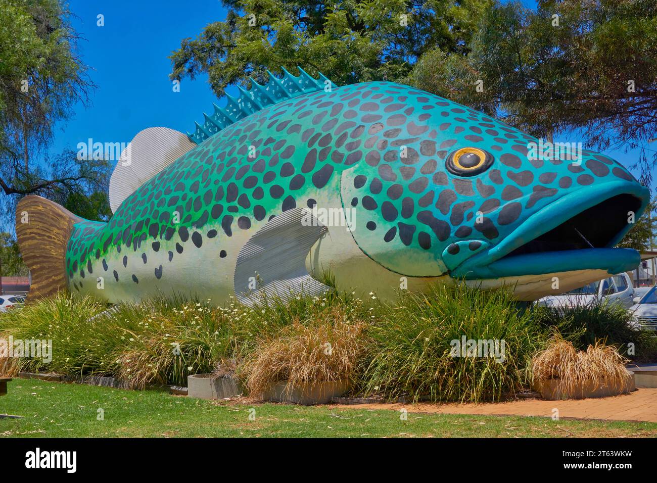 Swan Hill, Victoria, Australia, Arnold the Big Murray Cod, the Iconic freshwater fish Stock Photo